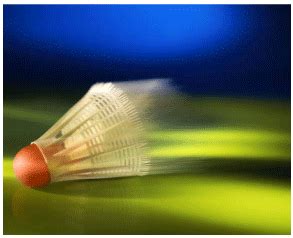 ottawa badminton|ottawa badminton club.
